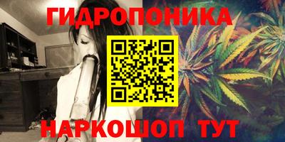 индика Кунгур