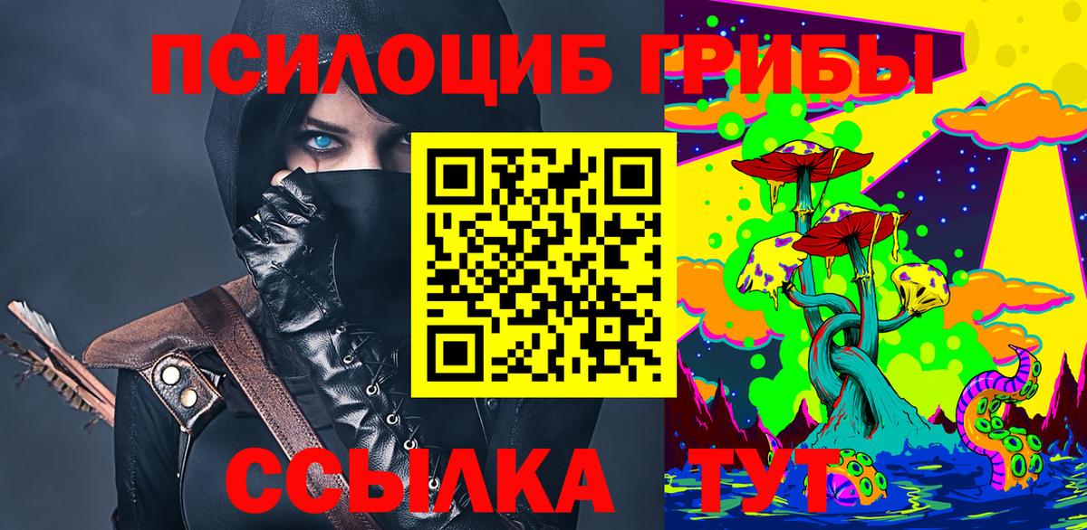 Псилоцибиновые грибы Psilocybe Кингисепп