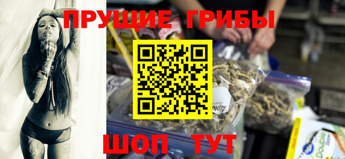 Галлюциногенные грибы ЛСД  Вход с VPN  что такое   Кингисепп  Галлюциногенные грибы прущие грибы 